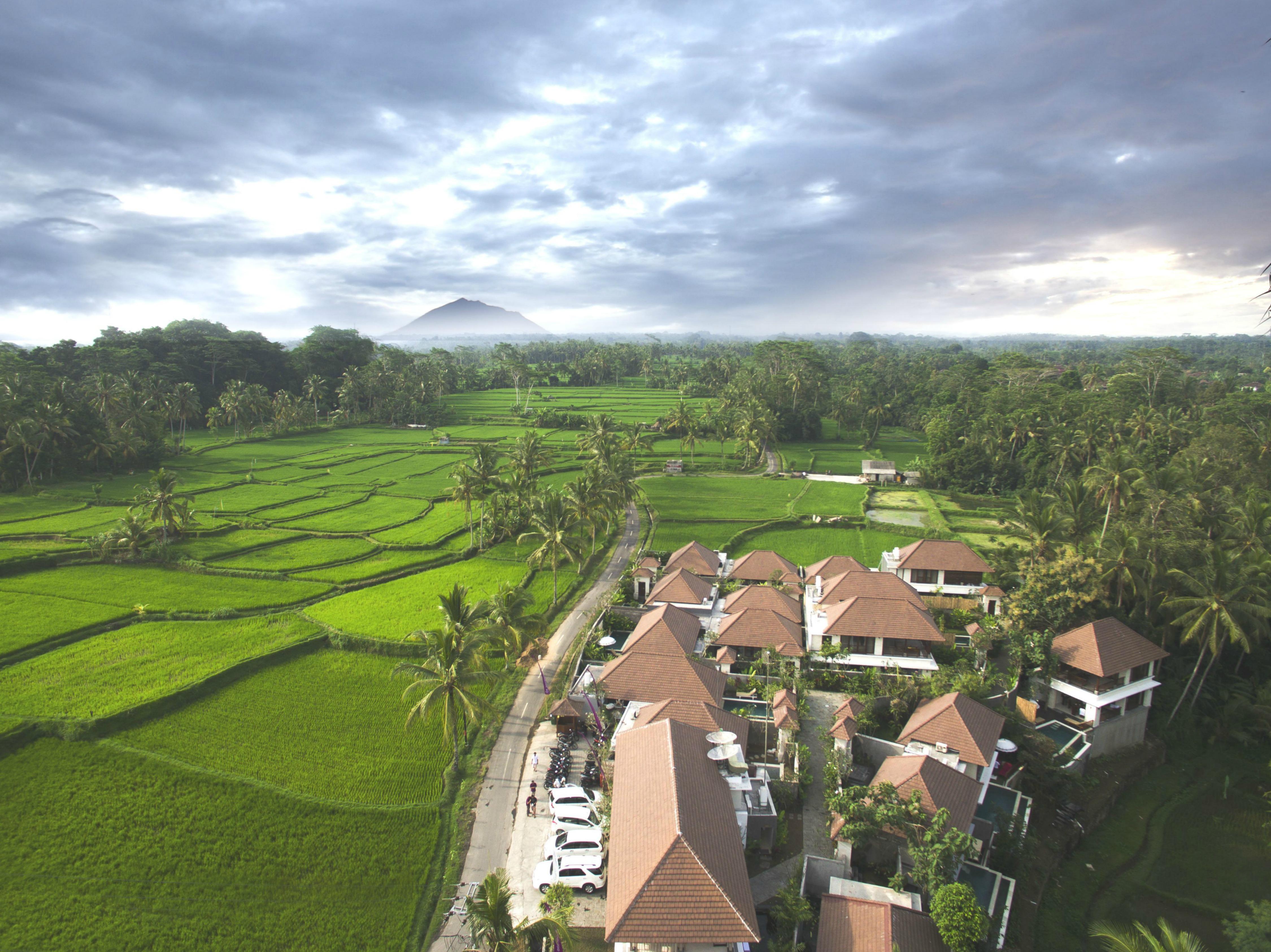 Dedary Resort Ubud By Ini Vie Hospitality מראה חיצוני תמונה